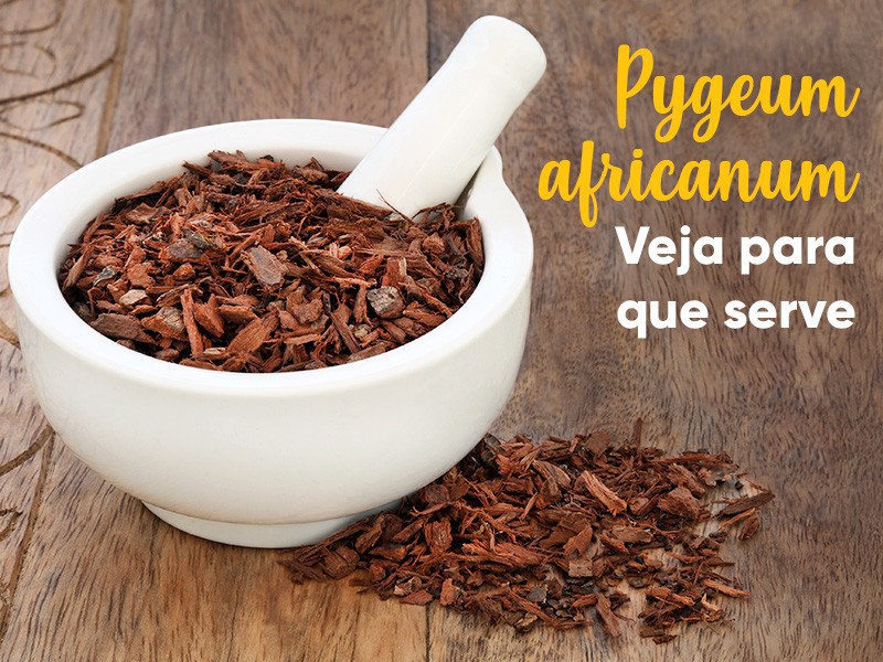 Pygeum africanum traz benefcios para prstata? Entenda para que serve!